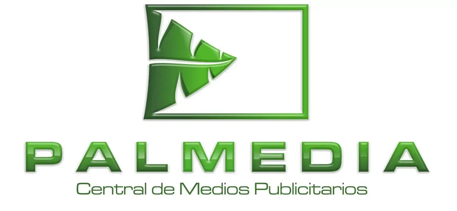 Logo de cliente: Palmedia